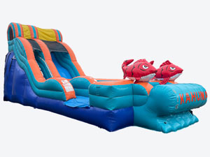 Water slide rentals in Raleigh, NC
